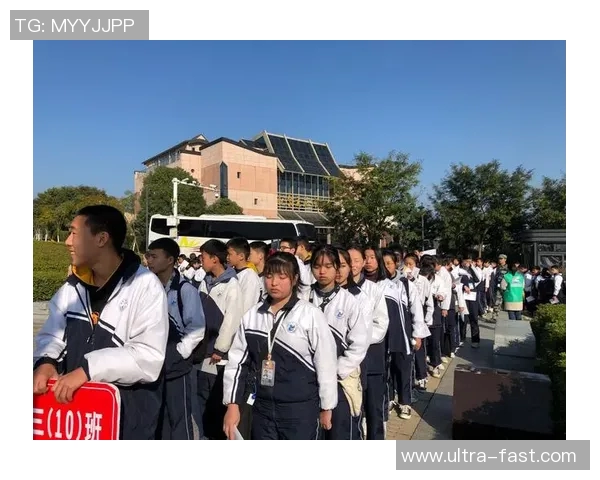 足球明星824号的传奇之路与辉煌成就全解析