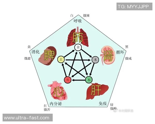 提升力量与健康从选择到购买哑铃的全面指南